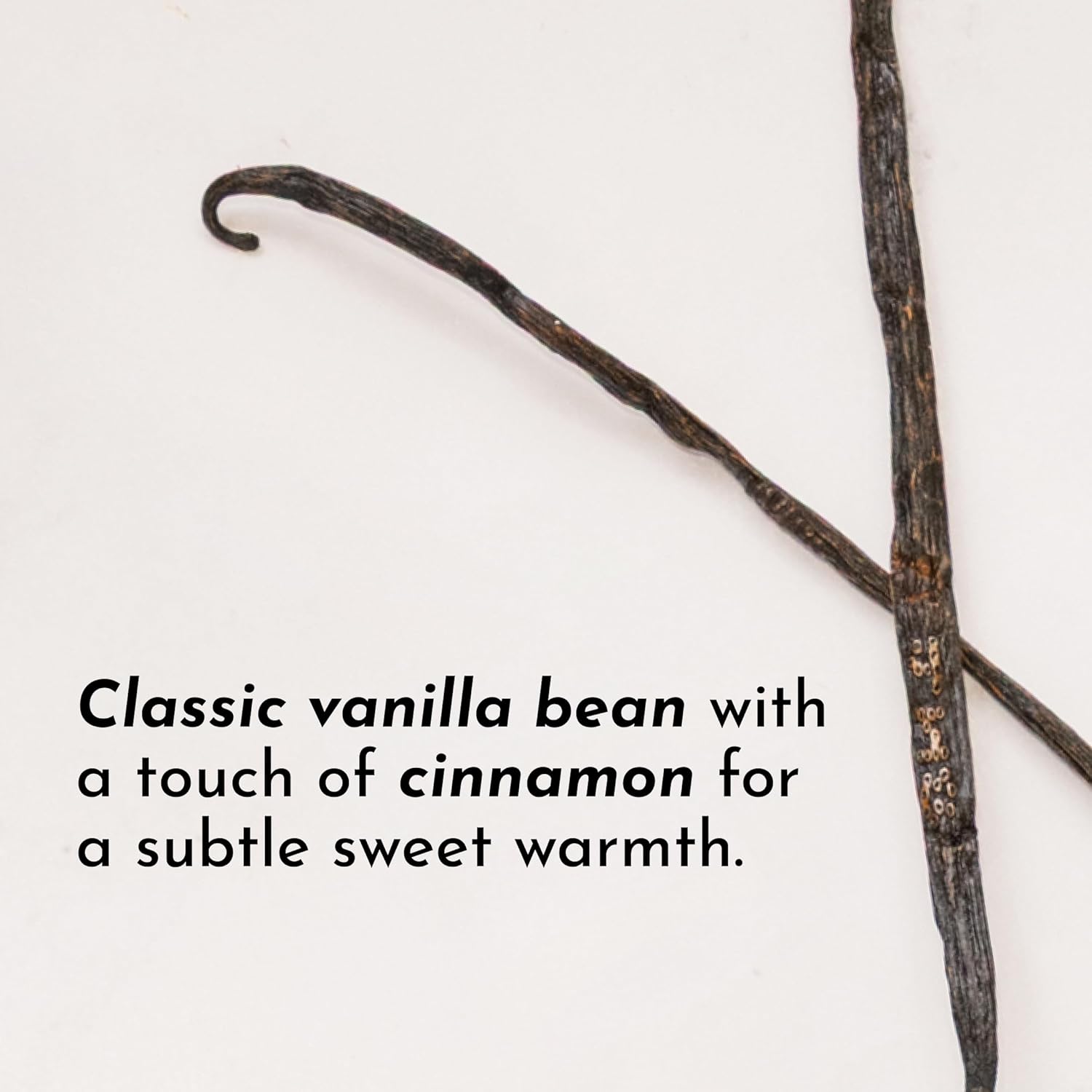JUST INGREDIENTS Vanilla Bean Protein Powder – 20-Serving Blend with 100% - View 6