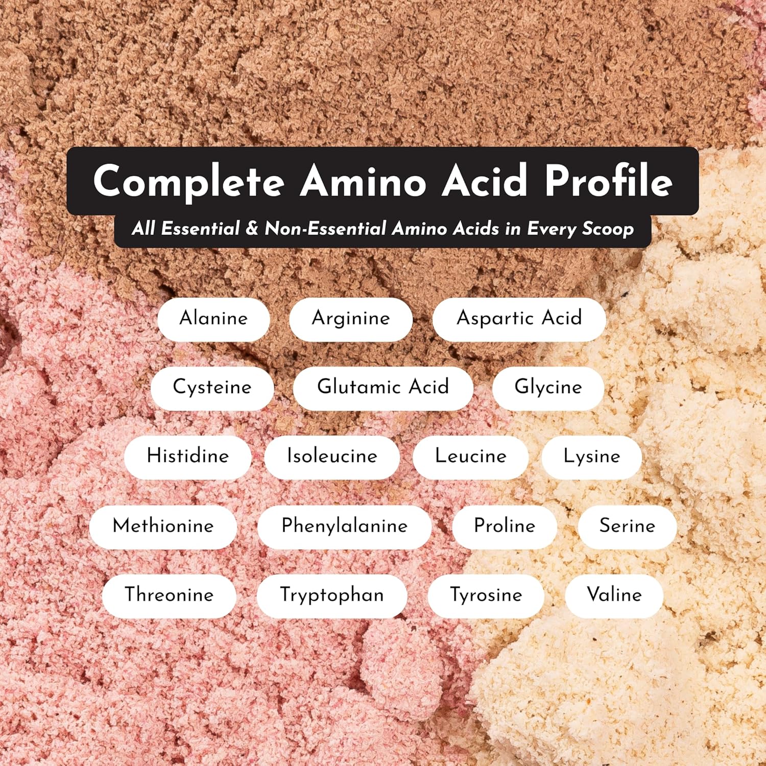 JUST INGREDIENTS Creamy Peanut Butter Chocolate Protein Powder – - View 3