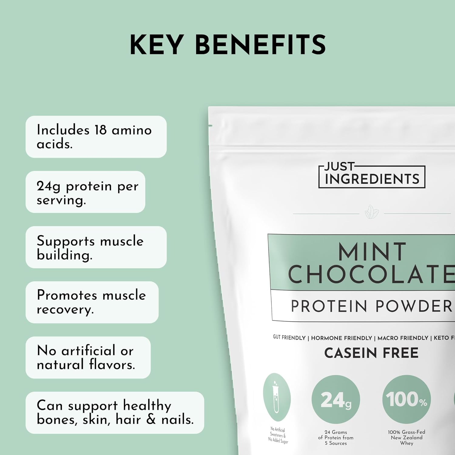 JUST INGREDIENTS Mint Chocolate Protein Powder – 30 Serving Bag – Grass-Fed - View 5